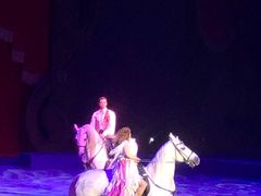 -珠海横琴长隆《卡卡虎奇遇记》