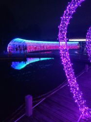 -珍珠泉水上世界