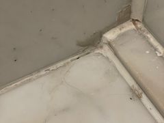 -上海世茂皇家艾美酒店
