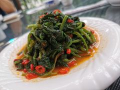 凉拌菠菜-天羽烤乳鸽店(财大家属院店)