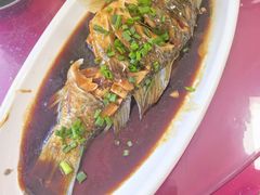 五泄醋鱼-雁荡老杨土菜馆