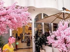 -杜哈夫DOUX RÊVE·生日蛋糕(日月光店)