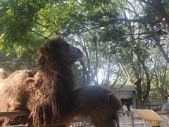 -广东茂名森林公园