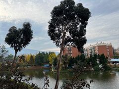 -昆明洲际酒店