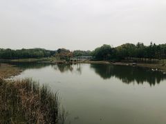 -贡湖湾湿地公园