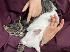 -仲雅水果大卖场(仲雅苑店)