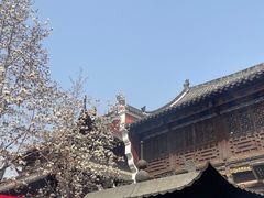 -长春观