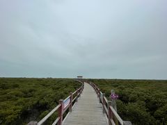 -北海金海湾红树林生态旅游区