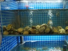 -星记小馆·小蓝龙·老南京砂锅菜(上海路店)