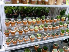 -KKV(重庆光环购物公园店)