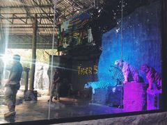 -清迈夜间动物园