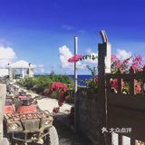 天晴时阳光下海水碧绿,非常美。岛上有专供浮潜的地方