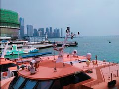 -招商蛇口邮轮母港(观光客运)