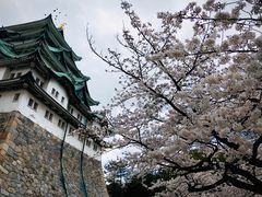 -名古屋城