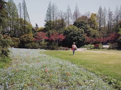 -上海滨江森林公园