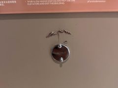 -北京索菲特大酒店