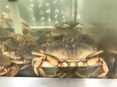 -99大华超市(罗兰岗店)
