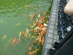 -威远炮台