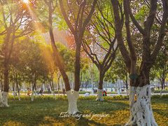 -重庆中央公园(渝北区)