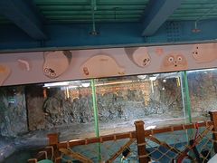 -海合安青岛极地海洋公园