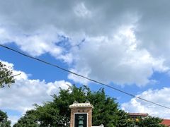 -吉英盐焗鸡(文中路店)