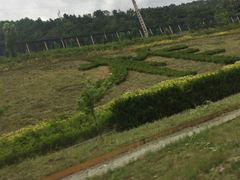 -秦岭终南山公路隧道公司