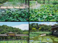 -广州莲花山旅游区