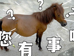 -广州动物园