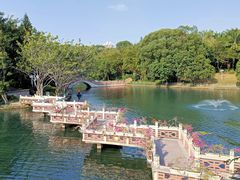 -深圳龙潭公园