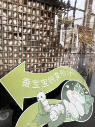-太湖雪蚕桑文化园