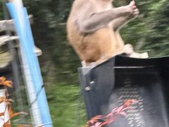 -苏州上方山国家森林公园