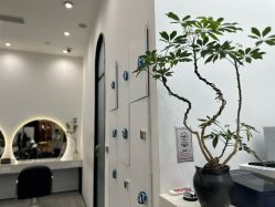-梳蕾娜 HAIR SALON