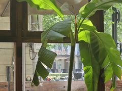 -VESH COFFEE(定西路店)