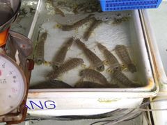-拉威海鲜市场