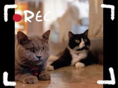 -么么咖啡(燕郊店)