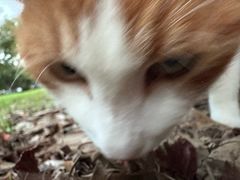 -南京工程学院(江宁校区)