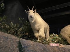 -陕西自然博物馆