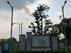 -采石矶景区