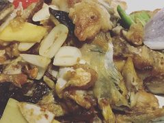 -绿雅居原生态农庄(小涌店)