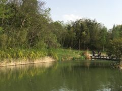 -镇江市南山风景名胜区竹林景区