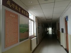 -天津大学附属中学