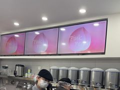 -雾与山茶(大禹城店)