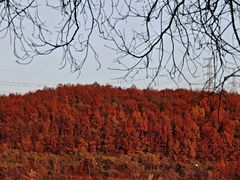 -南京市无想山景区