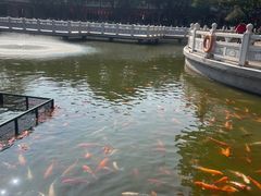 -广东圆玄道观