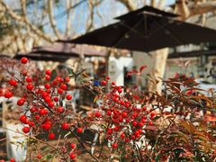 -思南书局·诗歌店