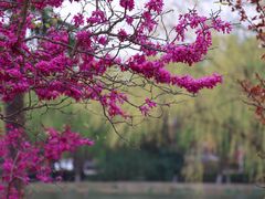 -东华大学(松江校区)