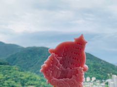 -台州府城(江南长城)