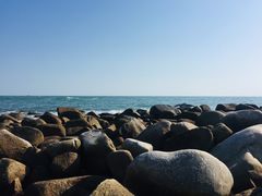 -广东惠东海龟国家级自然保护区