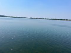 -丁香湖公园