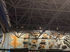 -浙江自然博物院(杭州馆)